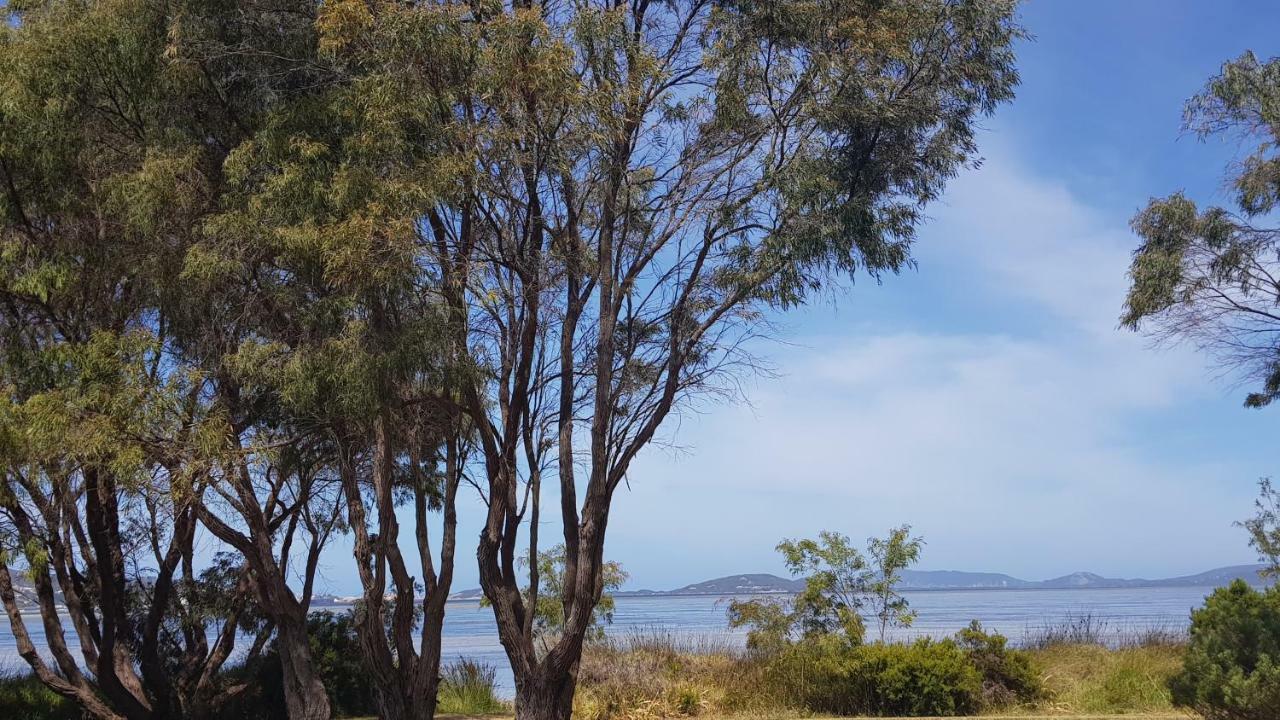 Lilacs Waterfront Villas & Cottages Όλμπανι Εξωτερικό φωτογραφία